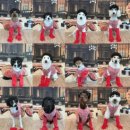 중대형견 유치원/호텔/미용 네발바닥 | 🤍11월 컨셉촬영🤍 김장