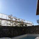 스테이 유수 이미지