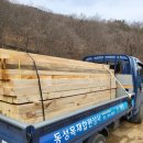 동성상사 이미지