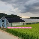 공공용 85 네이버블로그