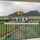 산방산호텔 | 제주 산방산호텔 디럭스 트윈룸 마운틴뷰 후기