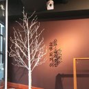 단골사 | [청담맛집] 쇼쿠도카이 가격, 메뉴 및 솔직 후기 ♥ (오마카세 난리났네)