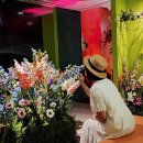 인생사진관 | 서울 전시회 추천/Floral Palette 인생사진관5 후기(용산전자랜드)