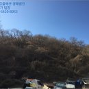 미천면-11 네이버블로그