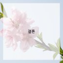 소나무경영컨설팅