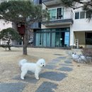 글램펜션(2) 이미지