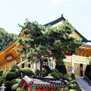 수국사 이미지