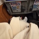 휠체어 타는 사람들 | 오사카 <라피트> 예약부터 타는 법, 꿀팁, 놓쳤을 때 팁까지! 내돈내산 후기