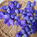 노원솔요양병원 이미지