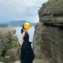 67e.블랙워치 백프로마 선염린넨(그린) 이미지