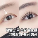 단아한속눈썹