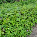 사현마을회관 이미지