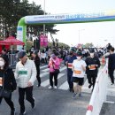 태안군, ‘10월 전국어울림마라톤대회’ 열린다!(서산태안신문) 이미지