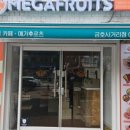 메가후르츠금호