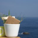 버림의 미학+ 미니멀 라이프 이미지