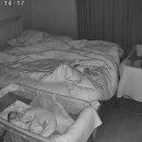 타티아르 이미지