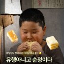 호박인절미 택배 떡집 6곳, 창억떡 품절 때 주문할 곳
