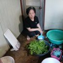 금일건강약국 이미지