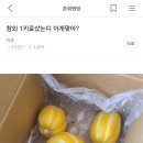 이거 뭔 뜻이야? 이미지