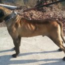 승의농장 이미지