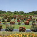 UN기념공원 우측 이미지