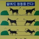 ＜2015전국 도형심리상담사,가족상담사,고객상담사,진로상담사 등 자격과정(3종선택) 이미지