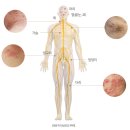 반에이치의원 이미지