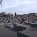 꼬끼오치킨 이미지