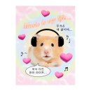 동복야구장 야구장 | 긍정의 치트키 럭키주이신드롬