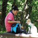 복정동 행정복지센터 이미지