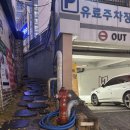 싱싱오징어바다 이미지