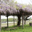 문암3리 이미지