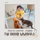 냥냥 | 하남 미사 고양이카페 냥냥하우스 주말 방문 후기 7살 아이와 힐링 데이트