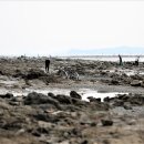 월하성어촌체험휴양마을 이미지