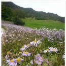 한일목장 이미지