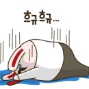 수비고등학교 이미지