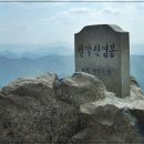 농협중앙회 앞 삼거리 이미지