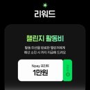더시그너스웨딩