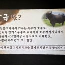 와규앤막창 이미지