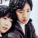 국화꽃향기 이미지