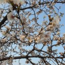 경기둘레길 안성43코스 이미지