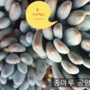 상월농장 이미지