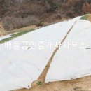 설천면010 티스토리