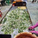 용순농장 이미지