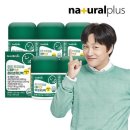 하이초도 이미지