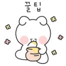 카페하포