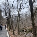 GS25 마니산점 | 인천 강화도 마니산 최단코스(계단로) 등산후기