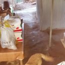 풍산농장 이미지