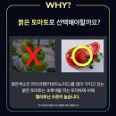 광하약국 | 온유로 케어 나이트 루틴 식물성 멜라토닌 함유 멜나잇. 멜라토닌 영양제, 멜라토닌 추천