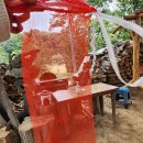 밤골농장 | 평택 밤줍기체험 - 안성 밤골에서 아이랑 밤체험 하기